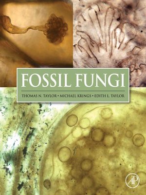 cover image of Fossil Fungi